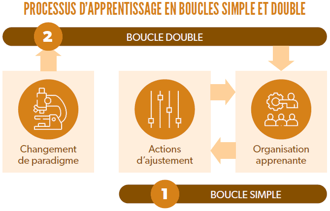 Processus d'apprentissage en boucle simple et double