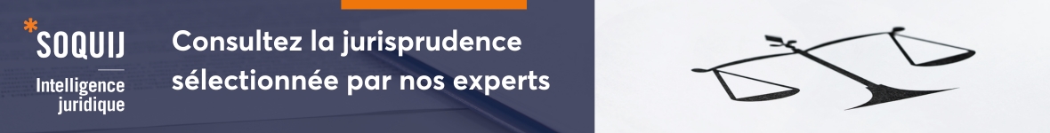 Consultez la jurisprudence sélectionnée par nos experts